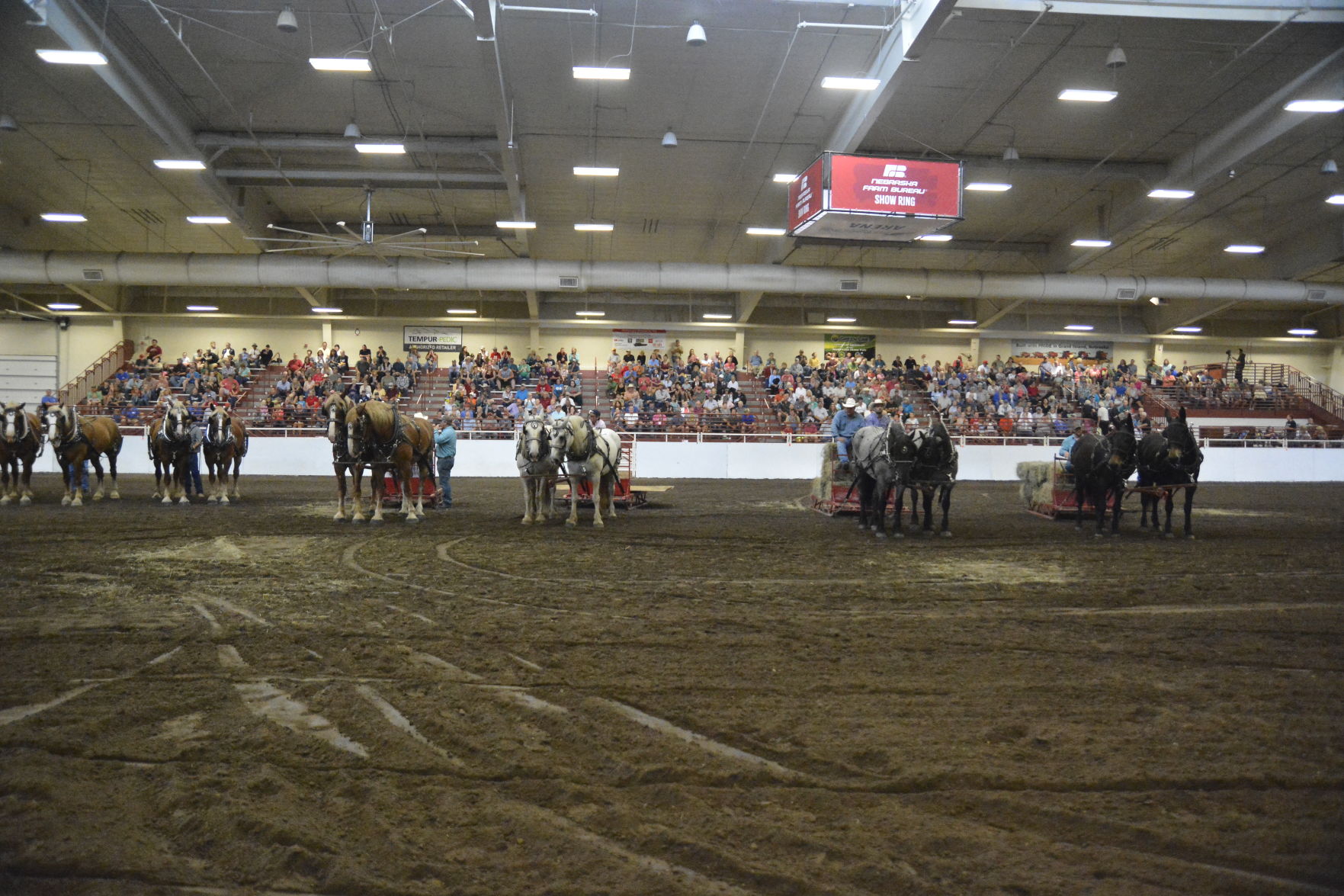8-25-19 Draft Horse Hitch Final (130).JPG